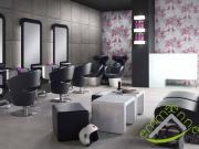 Attività / Licenza in vendita a Dolo VE