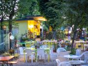 Attività / Licenza in vendita a Dozza BO