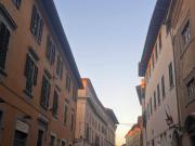 Attività / Licenza in vendita a Firenze FI