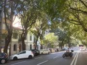 Attività / Licenza in vendita a Firenze FI