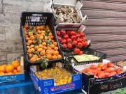 Attività / Licenza in vendita a Firenze FI