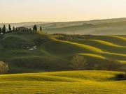 Attività / Licenza in vendita a Firenze FI