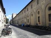 Attività / Licenza in vendita a Firenze FI