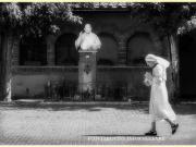 Attività / Licenza in vendita a Firenze FI