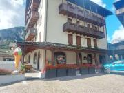 Attività / Licenza in vendita a Forni di Sopra UD