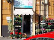 Attività / Licenza in vendita a Genova GE