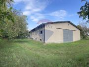 Attività / Licenza in vendita a Goito MN