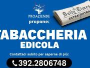Attività / Licenza in vendita a Gonzaga MN