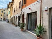 Attività / Licenza in affitto a Grosseto GR