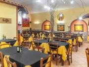 Attività / Licenza in vendita a Grosseto GR