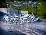 Attività / Licenza in vendita a Jesolo VE