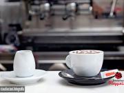 Attività / Licenza in vendita a La Spezia SP