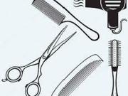 Attività / Licenza in vendita a Livorno LI