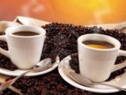 Attività / Licenza in vendita a Lucca LU