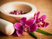 Attività / Licenza in vendita a Lucca LU