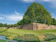 Attività / Licenza in vendita a Lucca LU