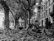 Attività / Licenza in vendita a Lucca LU
