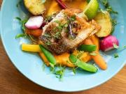 Attività / Licenza in vendita a Lugo RA