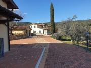 Attività / Licenza in vendita a Massa Marittima GR