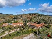 Attività / Licenza in vendita a Massa Marittima GR