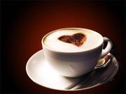 Attività / Licenza in vendita a Milano MI