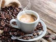 Attività / Licenza in vendita a Milano MI