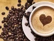 Attività / Licenza in vendita a Milano MI