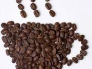 Attività / Licenza in vendita a Milano MI