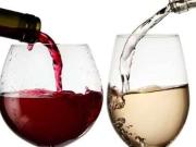 Attività / Licenza in vendita a Modena MO