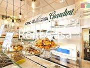 Attività / Licenza in vendita a Modena MO Attività / Licenza in vendita a Modena MO