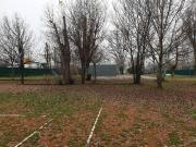 Attività / Licenza in vendita a Modena MO