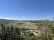 Attività / Licenza in vendita a Montalcino SI