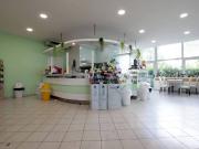 Attività / Licenza in vendita a Monteroni d'Arbia SI