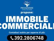 Attività / Licenza in vendita a Monticelli d'Ongina PC