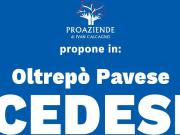 Attività / Licenza in vendita a Monza MB