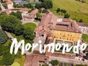 Attività / Licenza in vendita a Morimondo MI