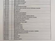 Attività / Licenza in vendita a Nettuno RM