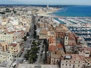 Attività / Licenza in vendita a Nettuno RM