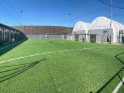 Attività / Licenza in vendita a Nichelino TO