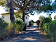 Attività / Licenza in vendita a Orbetello GR