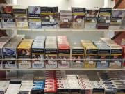 Attività / Licenza in vendita a Padova PD