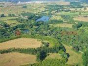 Attività / Licenza in vendita a Paliano FR