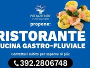 Attività / Licenza in vendita a Parma PR