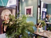 Attività / Licenza in vendita a Pavia PV