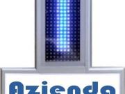 Attività / Licenza in vendita a Pegognaga MN