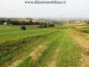 Attività / Licenza in vendita a Pesaro PU