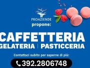 Attività / Licenza in vendita a Piacenza PC