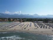 Attività / Licenza in vendita a Pietrasanta LU