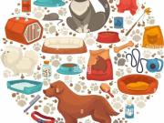 Attività / Licenza in vendita a Pisa PI