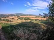 Attività / Licenza in vendita a Pomarance PI